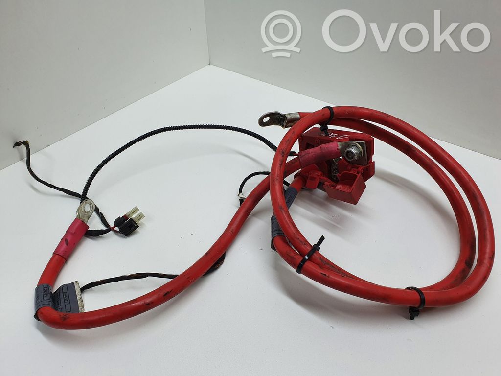 Positive cable (battery)   6989781,6989782,698978202,10304410,9127767,9127768
