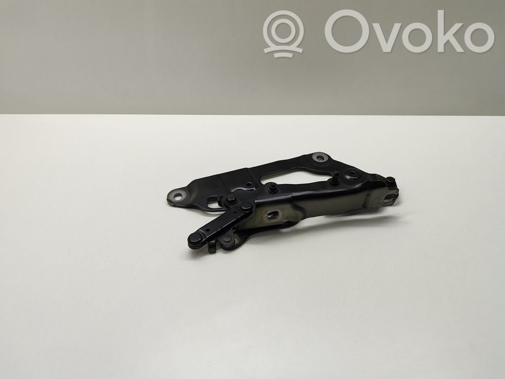 BMW 5 GT F07 Engine bonnet/hood hinges 
