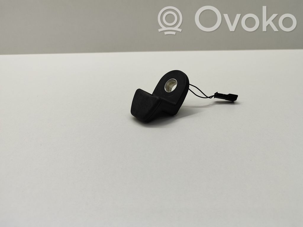 BMW 5 E60 E61 Tailgate glass/window release handle 