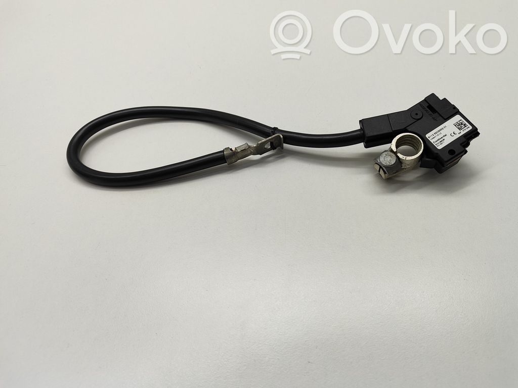 BMW 5 F10 F11 Cavo negativo messa a terra (batteria) 