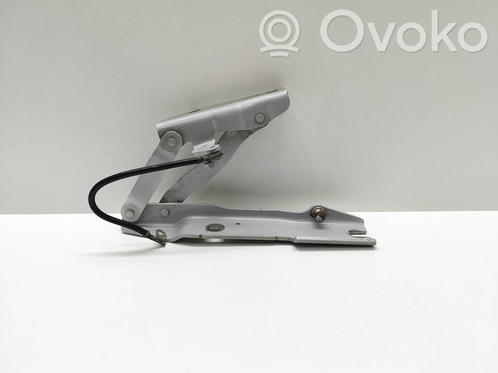 Scharnier Motorhaube   7008728,41617008728