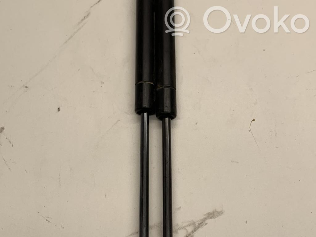 Dodge Caliber Tailgate/trunk strut/damper 