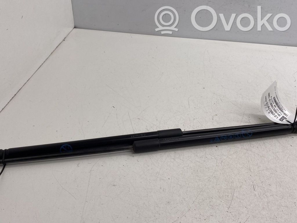 Ford Fiesta Ammortizzatore portellone posteriore/bagagliaio 