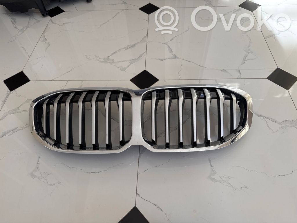 BMW 1 F40 Griglia anteriore 