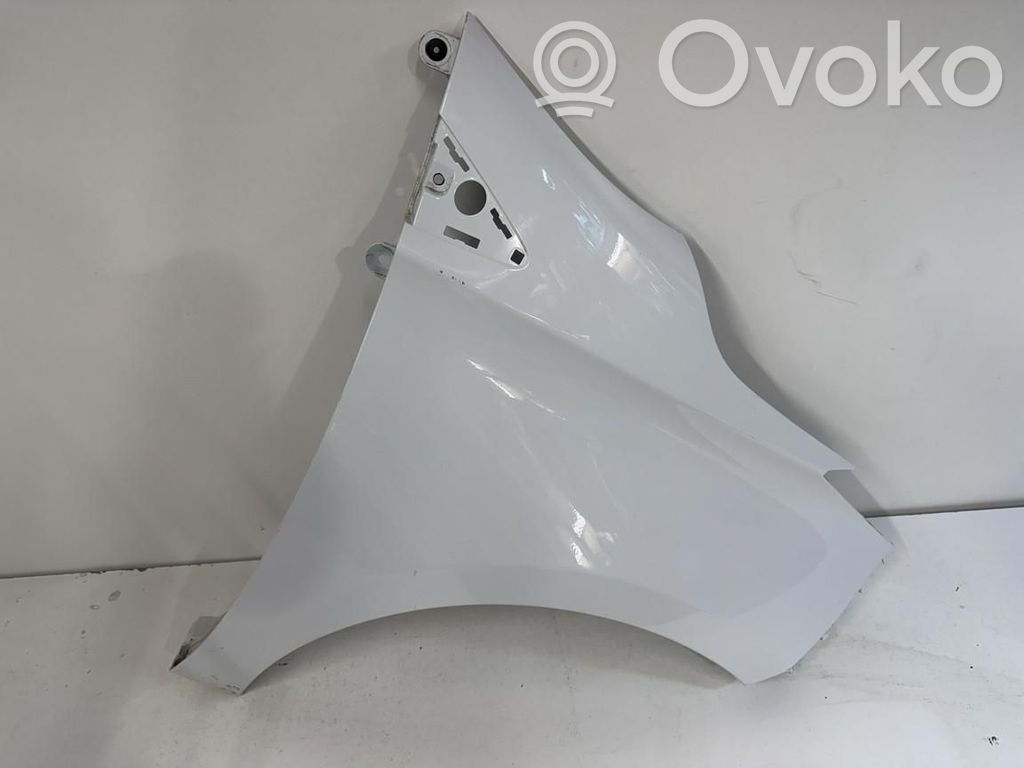 Renault Zoe Fender 