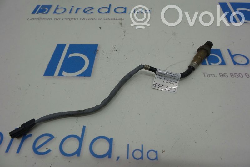 Зонд «Lambda»   0258006971,H7700107433