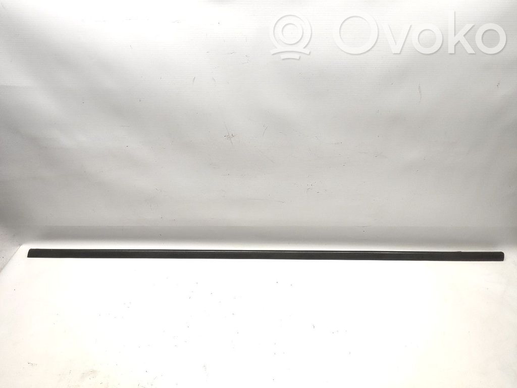 Renault Megane II Door glass trim 