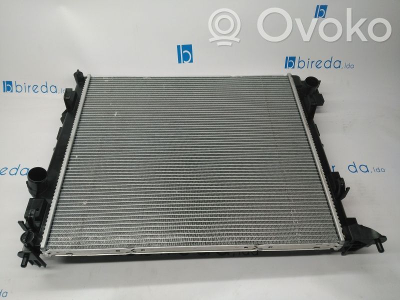 Coolant radiator   214104EB0B,214101809R,214104EB0B2,ARTIGONOVOORIGINAL