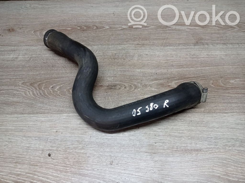 Caurulīte (-es) / šļūtene (-es)   08671393