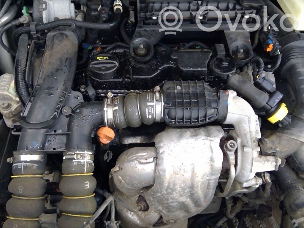 Citroen Berlingo Variklis 