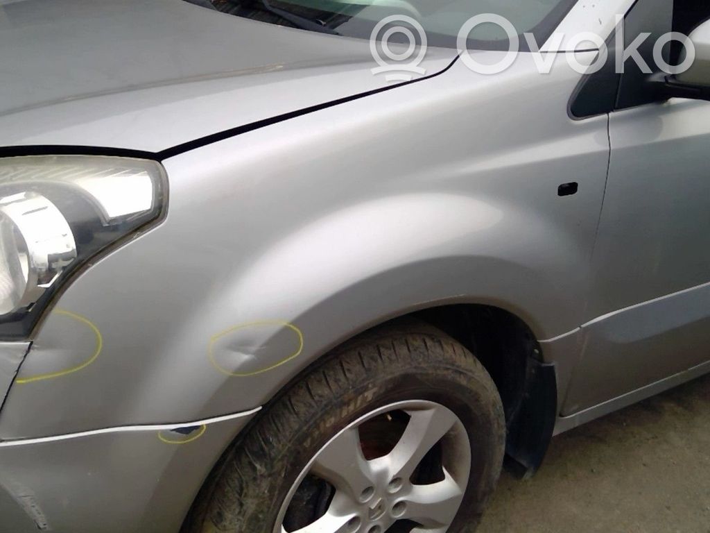 Renault Koleos I Guardabarro 