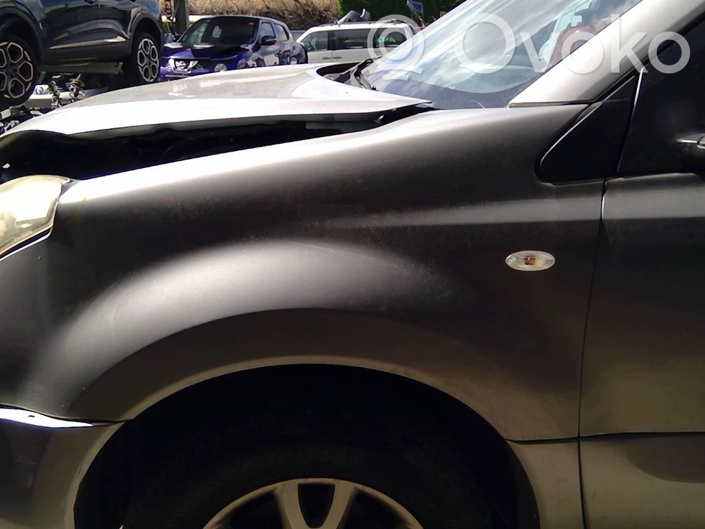 Renault Koleos I Guardabarro 