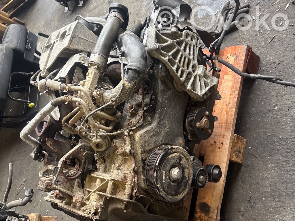 Motor   8201083444