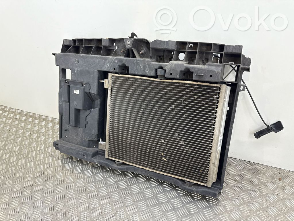 Citroen C4 Cactus Radiatoru panelis 