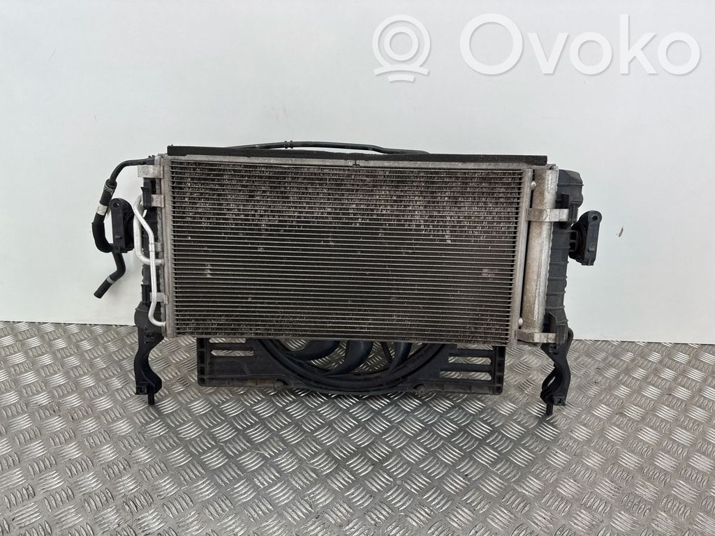 Radiator set   25310M6300,25304G4650,25380J7600,3137232025