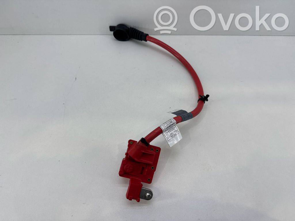 BMW 5 F10 F11 Positive cable (battery) 