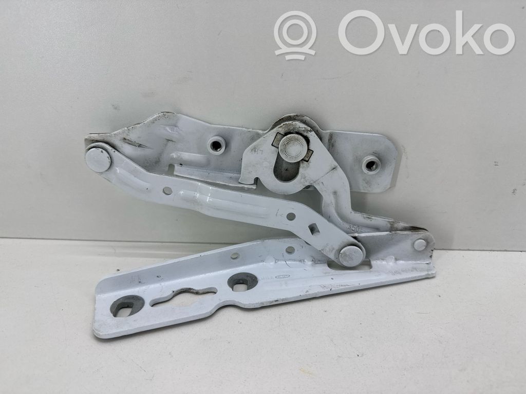Ford Ecosport Dzinēja pārsega eņģe (-es) 