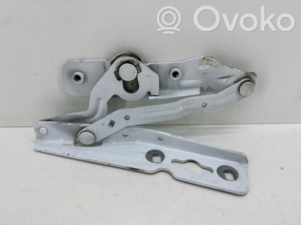 Ford Ecosport Konepellin saranat 