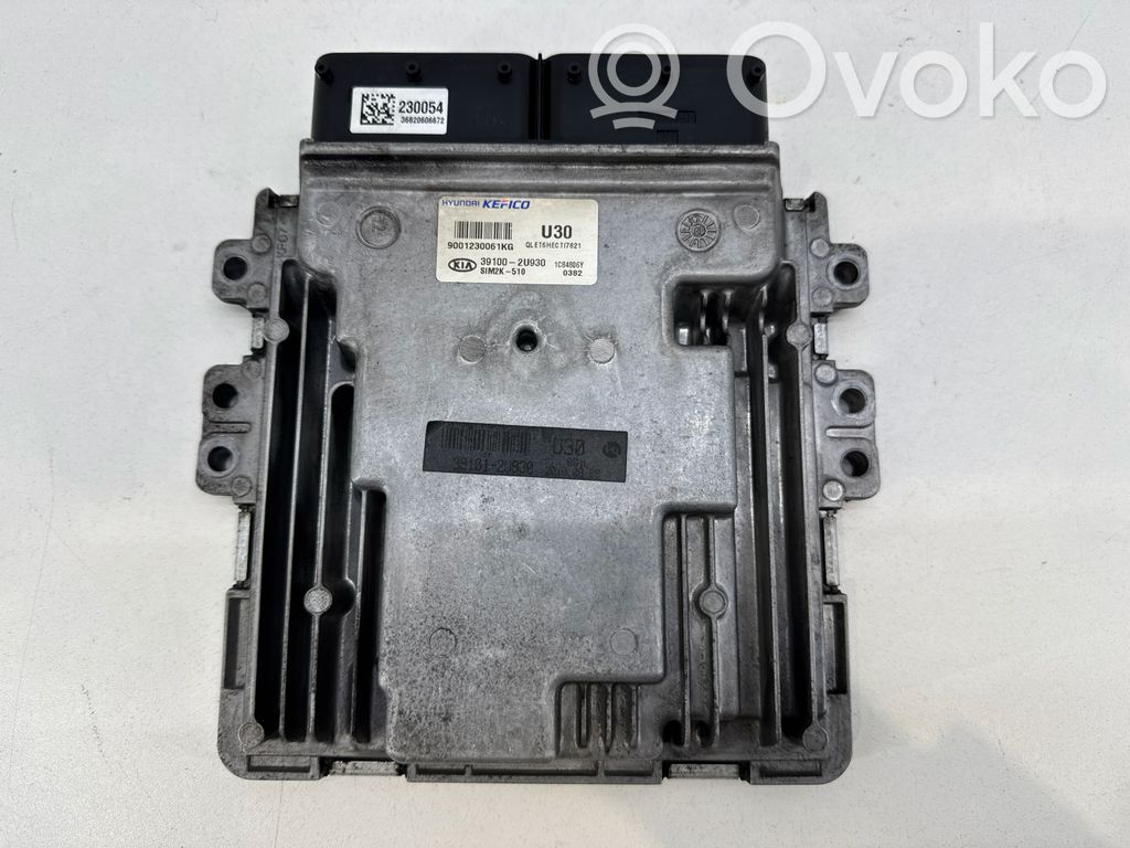 KIA Sportage Engine control unit/module 