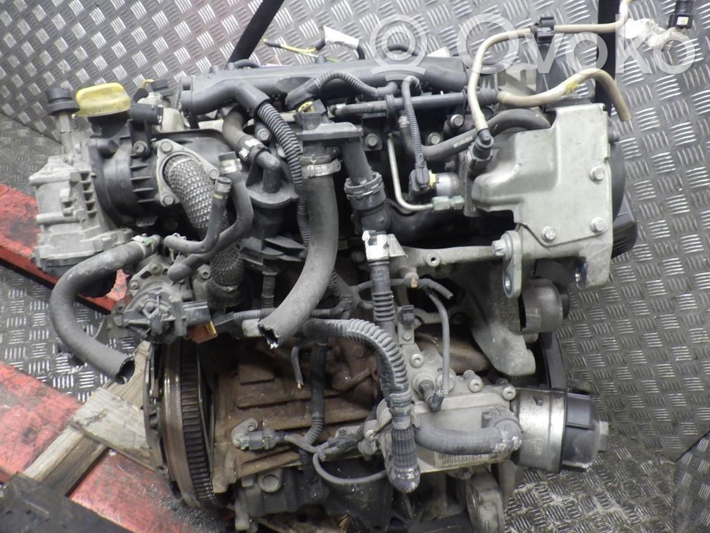 Motor   71754381
