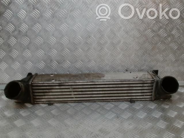 Intercooler radiator   17517798788