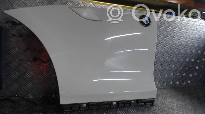 Spārns   41007232667