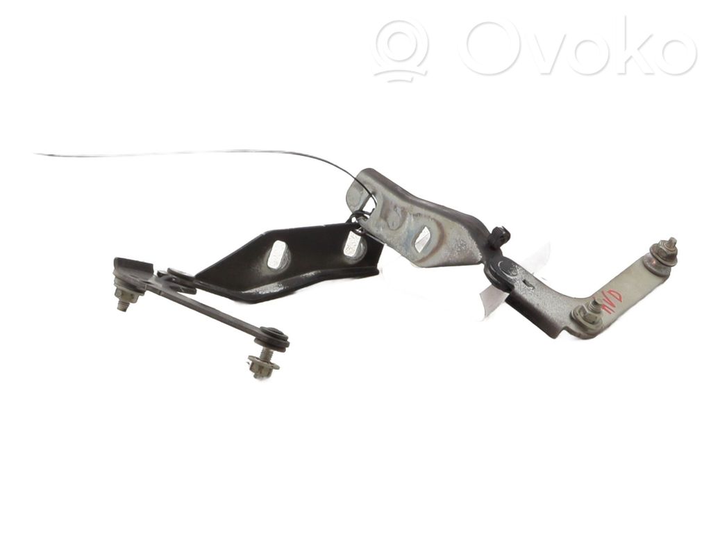 Ford C-MAX I Engine bonnet/hood hinges 