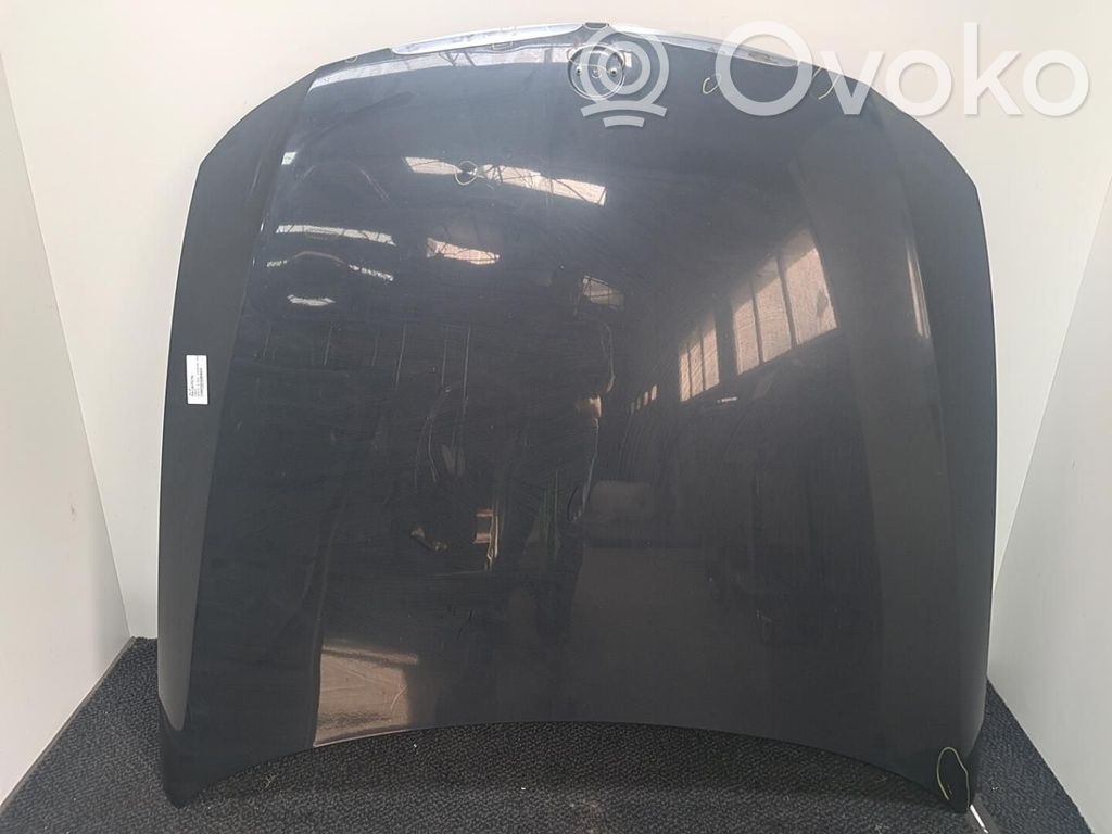 Motorhaube   41617140729