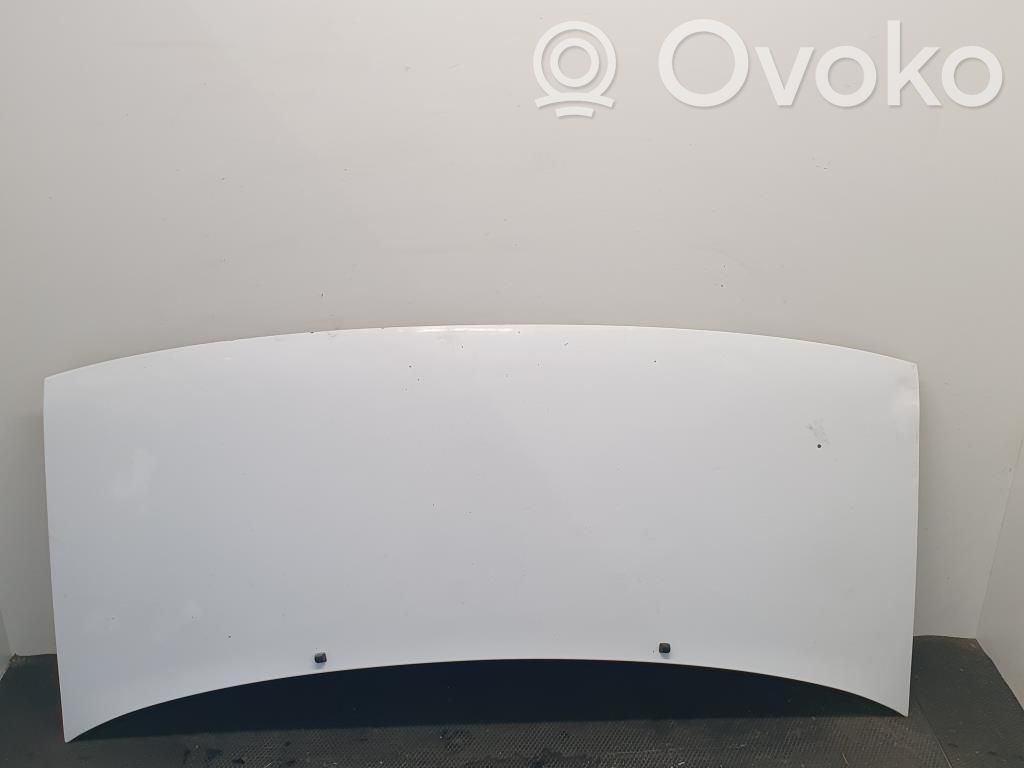 Dzinēja pārsegs (vāks)   00007901H2