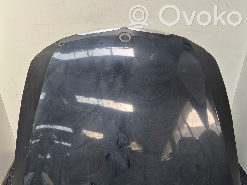 Dzinēja pārsegs (vāks)   41617140729