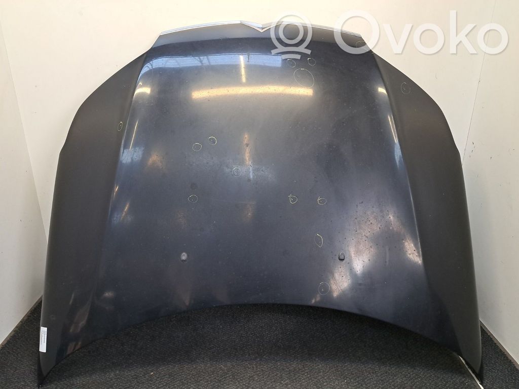 Capó/tapa del motor   00007901P3