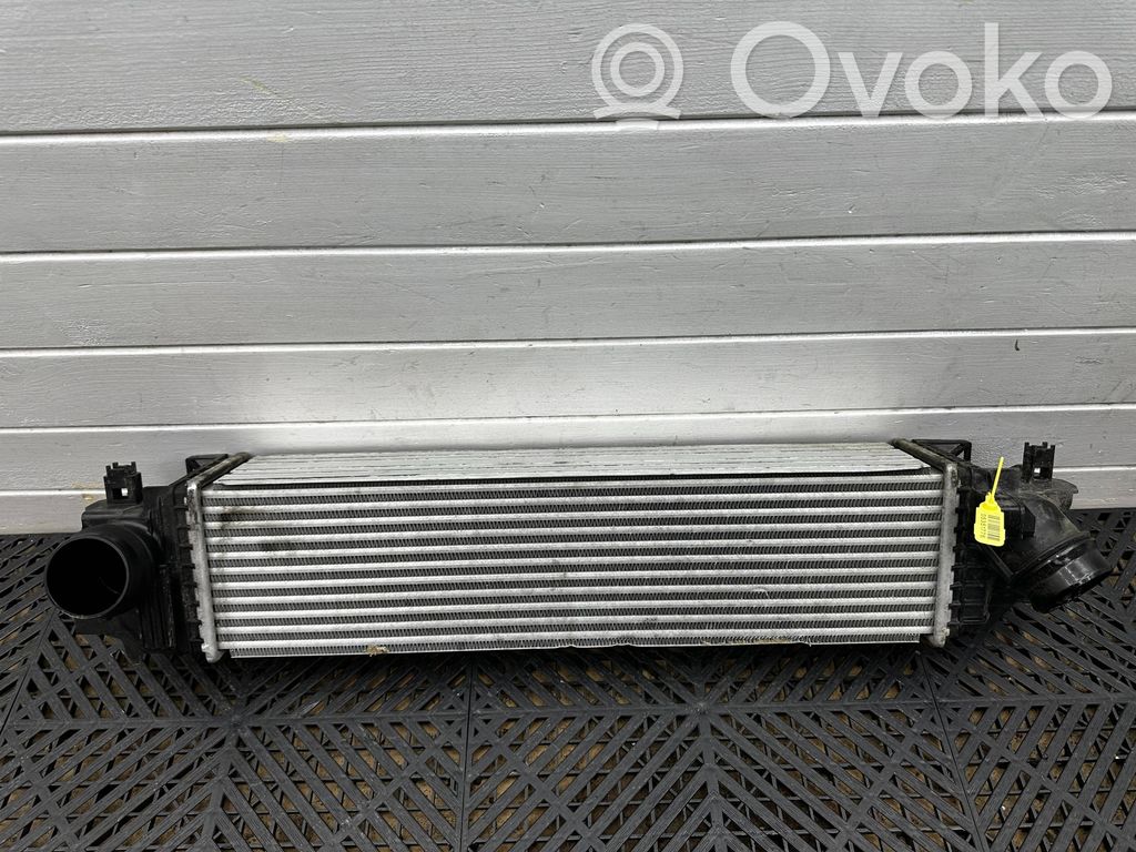 BMW X1 F48 F49 Radiador intercooler 