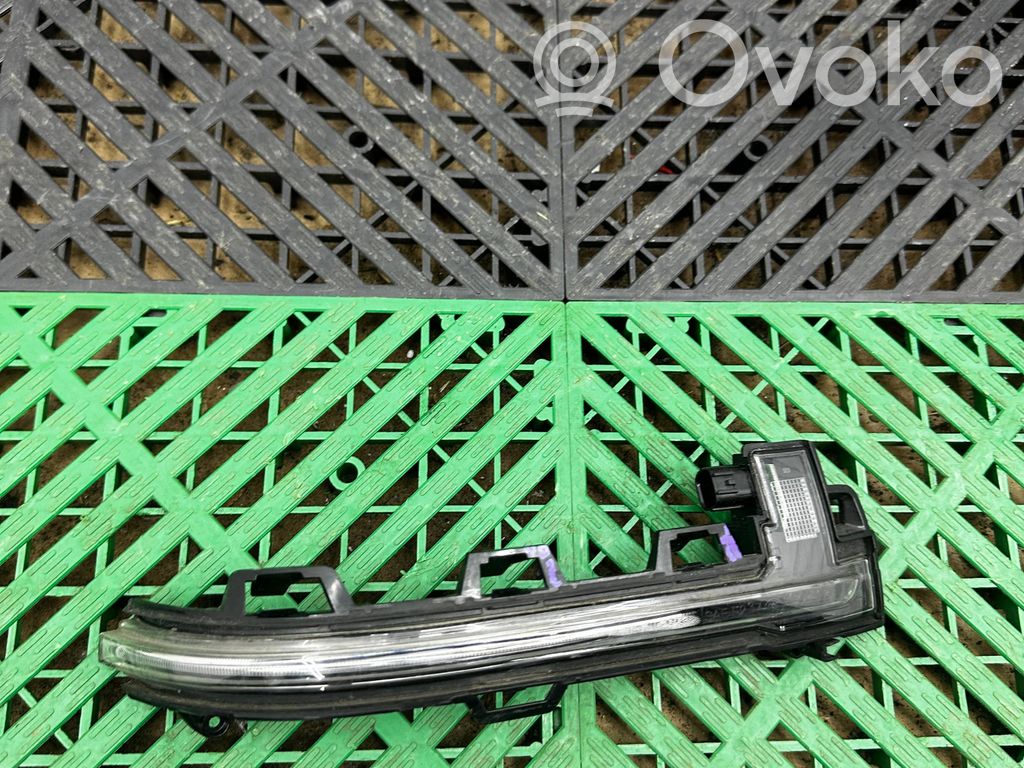 BMW X3 G01 Mirror indicator light 