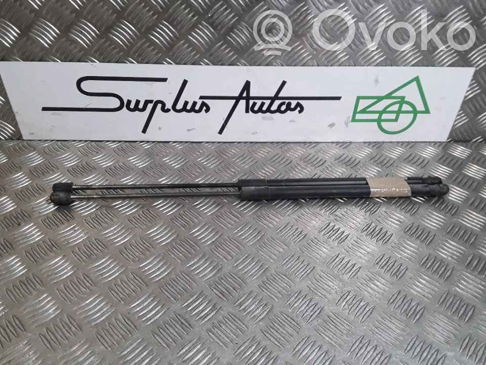 Tailgate/trunk strut/damper   1747492,20212491,4634629,VDMS13