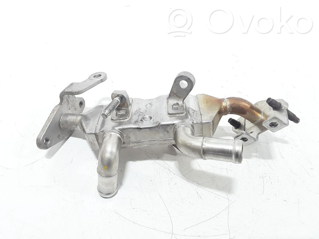Renault Clio V Răcitor supapă EGR 