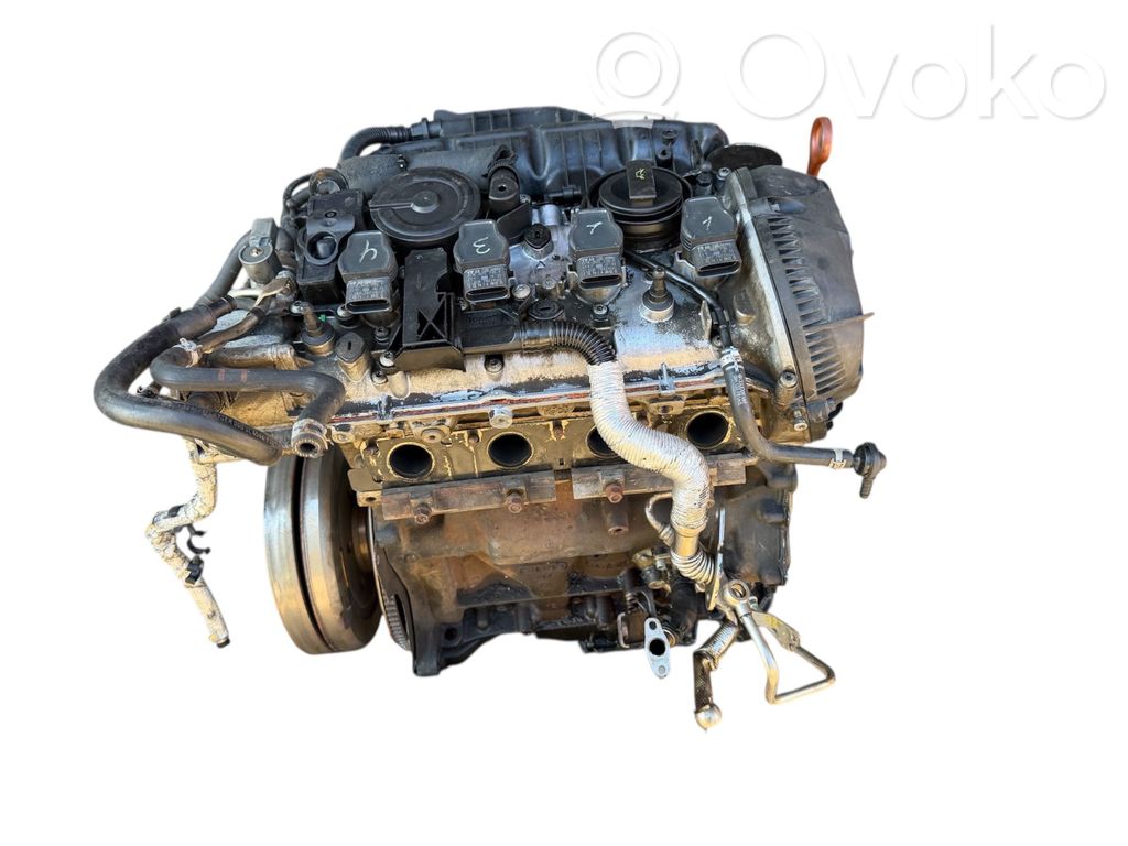 Motor   CDHB