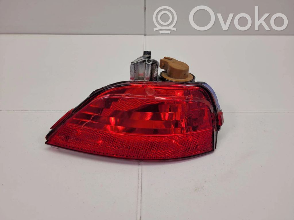 Miglas lukturis aizmugurē   265850007R