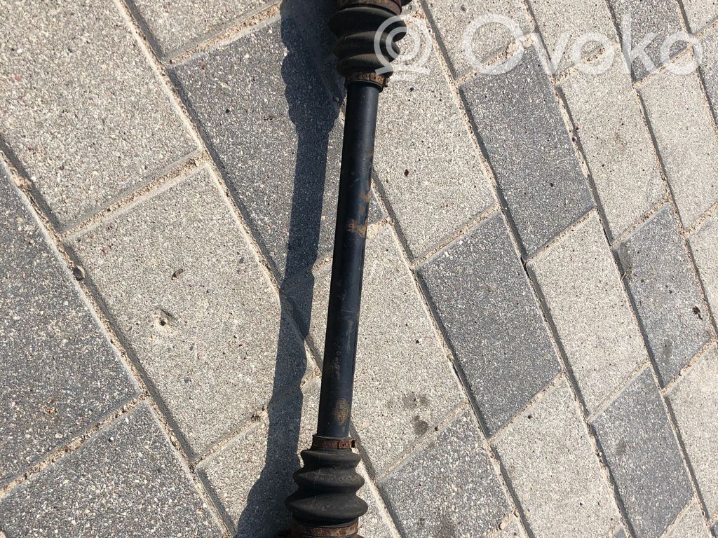Galinis pusašis   1229494