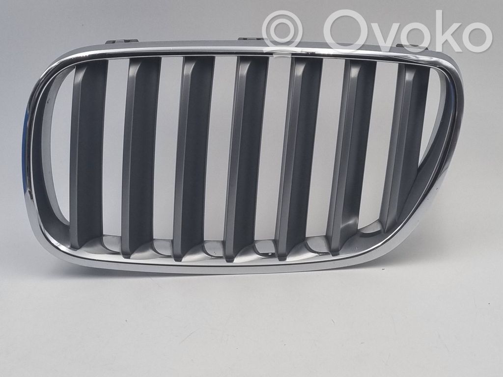 Front grill   3420087,51113420087
