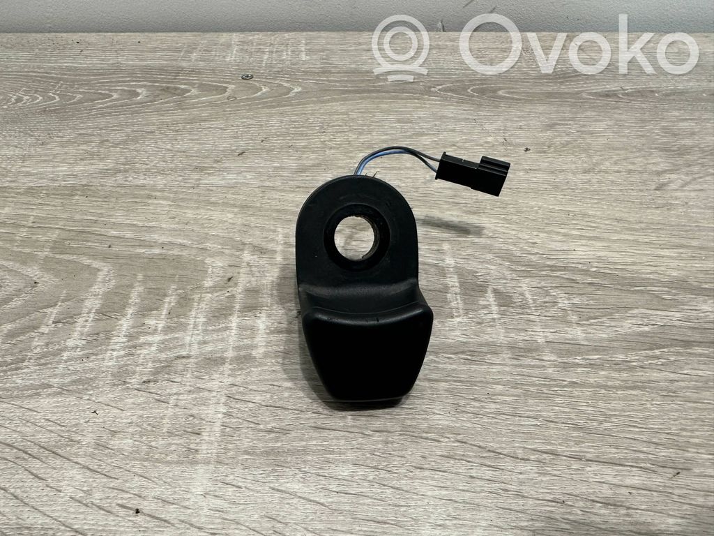 Tailgate glass/window release handle   9200673,59845510