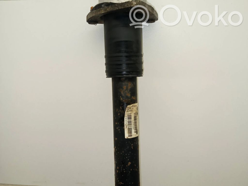Galinis amortizatorius   6781929,07B193DD0265