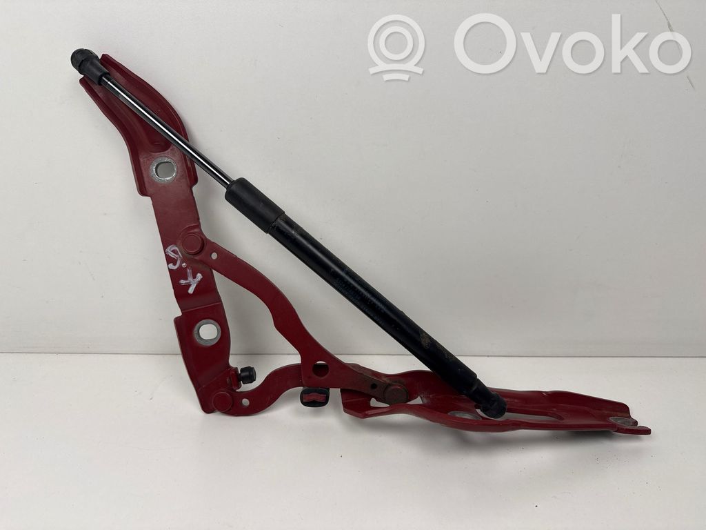 Tailgate/trunk/boot hinge   7166751,0709,ES03