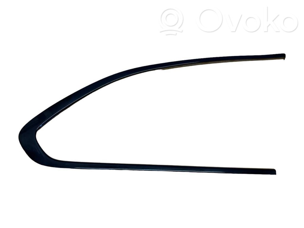 BMW 5 F10 F11 Rear door glass trim molding 