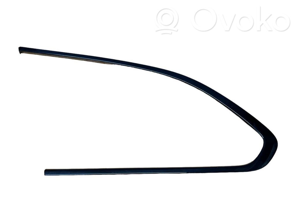 BMW 5 F10 F11 Rear door glass trim molding 