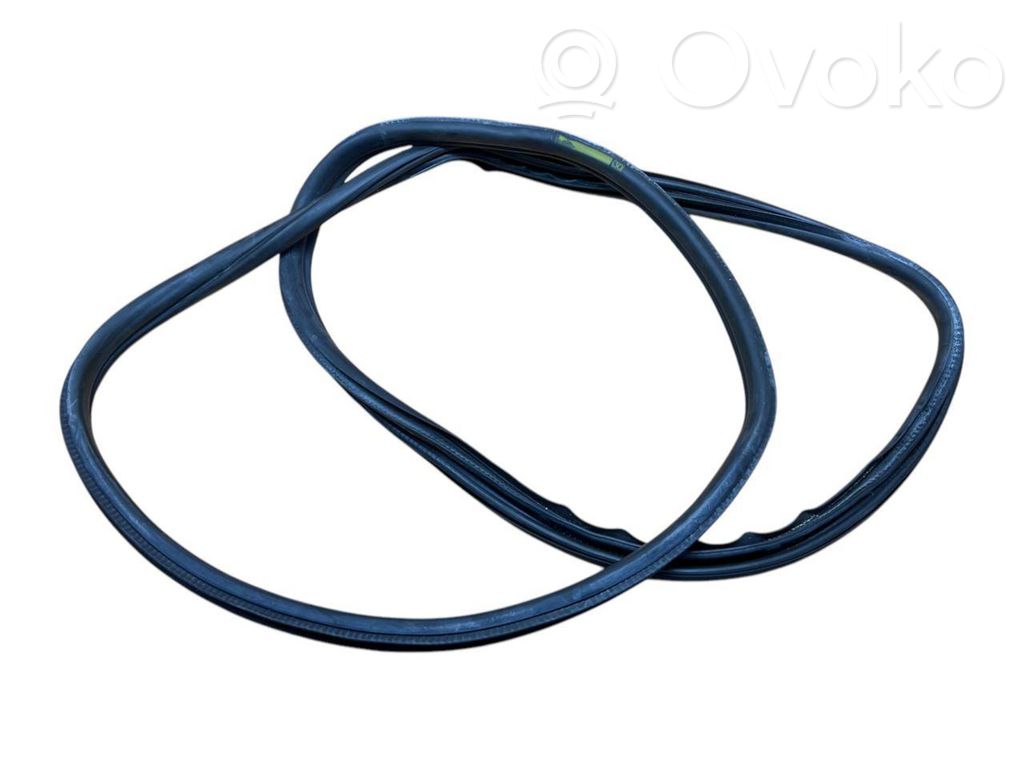 BMW 3 F30 F35 F31 Guarnizione in gomma portiera posteriore (sulla carrozzeria) 