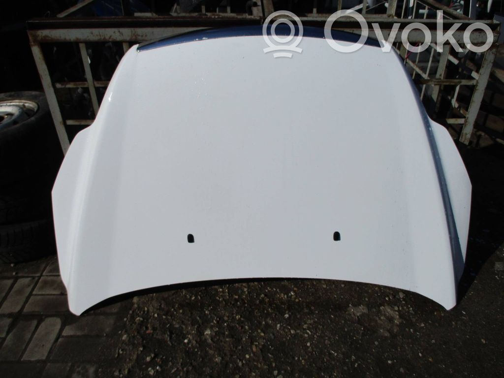 Engine bonnet/hood