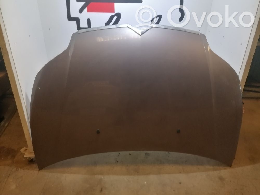 Citroen C4 Aircross Dangtis variklio (kapotas) 