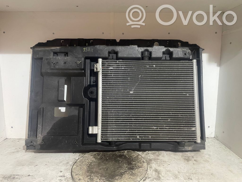 Citroen C3 Puerta del maletero/compartimento de carga 