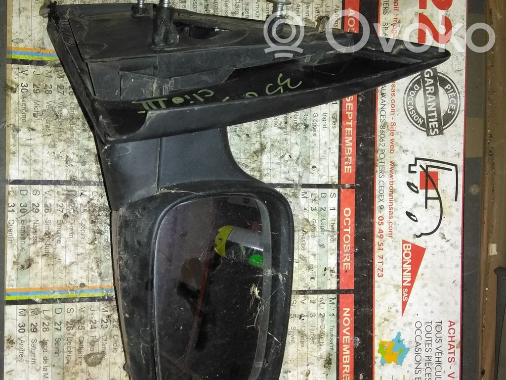 Renault Clio III Elektryczne lusterko boczne drzwi przednich 