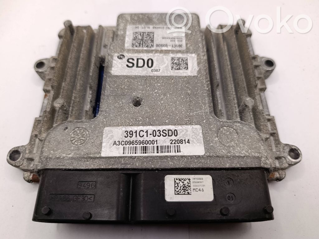 Engine control unit/module   391C103SD0,A3C0965960001,220814